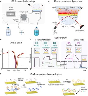 Surface Plasmon Resonance as a Characterization Tool for Lipid Nanoparticles Used in Drug Delivery